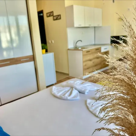 Ipanema - Menada Sweti Wlas