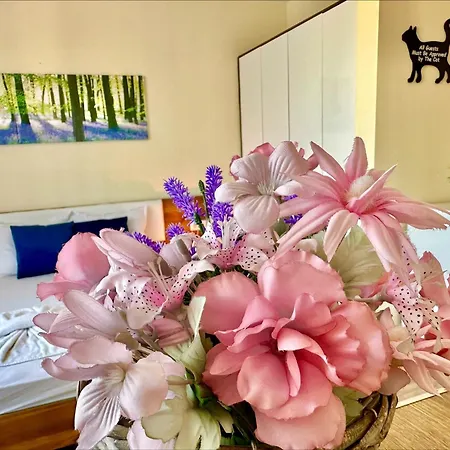 Apartament Ipanema - Menada Święty Włas