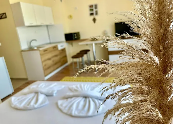 Ipanema - Menada 圣弗拉斯